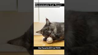 DIY Cat Toys Your Cat Will Go Crazy For 220 [upl. by Aelem490]