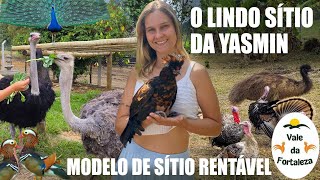 MODELO DE SITÍO SUSTENTÁVEL E SUPER RENTÁVEL  AVES EXÓTICAS [upl. by Basile330]