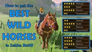 How to get the BEST WILD HORSES in Zelda Breath of the Wild NO AMIIBO [upl. by Struve894]