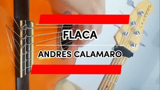 KARAOKE Flaca  Andrés Calamaro  Acoustic Track [upl. by Sivrahc872]