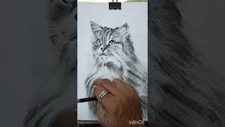 Beautyful Charcoal catshorts ytshorts realism drawing [upl. by Gershon679]