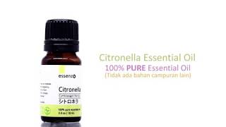 Citronella Essential Oil [upl. by Nerty]