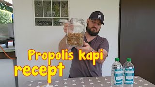 Pravljenje propolis kapi recept pcelarstvopčelarstvobeesbienenhoney [upl. by Briny]