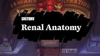 Renal Kidneys Nephrons amp Excretory System Part 1  Sketchy MCAT [upl. by Akiemat]