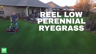 Reel Low Perennial Ryegrass  December 2017 time lapse [upl. by Marquis207]