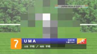 JAPAN WORLD CUP 3 出走馬紹介 UMAウーマ [upl. by Segroeg15]