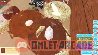 Laying hens egg gets protected Farm world Roblox [upl. by Bob]