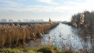 Weerbericht voor vrijdagmiddag Ook morgen meest droog [upl. by Odanref916]