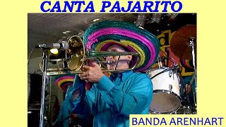 CANTA PAJARITOBANDA ARENHART [upl. by Yhcir]