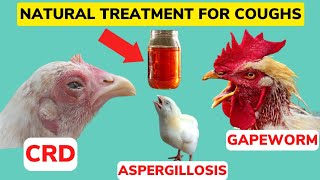 NATURAL ORGANIC TREAT For ALL COUGHS amp Respiratory Illnesses IN CHICKEN CRDAspergillosisGapeWorm [upl. by Eleynad]