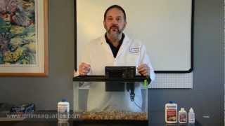 How to Set Up a New Aquarium  Fishless Cycling  DrTims Aquatics [upl. by Arok]