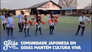 SÓ GOIÁS QUE TEM COMUNIDADE JAPONESA EM GOIÁS MANTÉM CULTURA VIVA [upl. by Aissatsan]