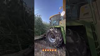 🔥 Powerful Forage Harvester in Action 🚜🌾 [upl. by Grochow]