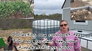 Transform Your Garden with These Simple Tips hedgehogshomestead [upl. by Ecnatsnok]