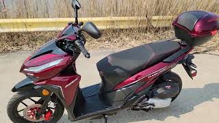 200cc Clash Scooter Moped Burgundy In Stock Today [upl. by Tannen]