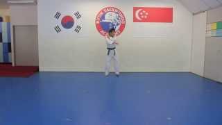 Blue Belt Pattern by Hyun TKD Academy [upl. by Ogg]