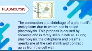 plasmolysis process  what is plasmolysis process  define plasmolysis process [upl. by Amitaf824]