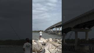 Want to Catch Fish at Sebastian Inlet Avoid These Days [upl. by Aicineohp]