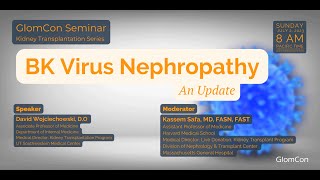 BK Virus Nephropathy An Update [upl. by Gates]