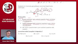 Derece ilk 1000 TYT Biyoloji 2025tayfa 3d enzim [upl. by Athelstan]