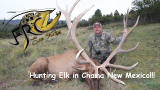 Hunting Elk in Chama New Mexico [upl. by Ailuig660]