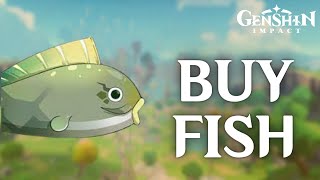 How to Buy Fish in Genshin Impact 2024  Genshin Impact Tutorial [upl. by Yntruoc]