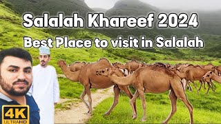 Salalah Best Place to visit in 2024 [upl. by Aivatnuahs]