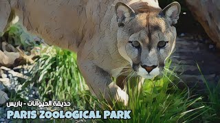 Paris Zoological Park  زيارة سريعة [upl. by Blainey]