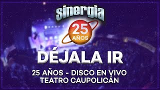 Sinergia  Déjala Ir 25 Años En Vivo Teatro Caupolicán [upl. by Hnil302]