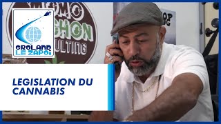 Légalisation du cannabis  Groland  CANAL [upl. by Ssilem545]