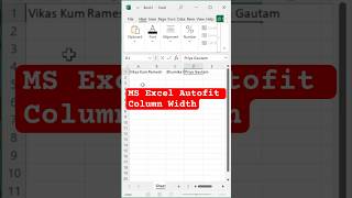 Autofit Column Width in MS Excel using View Code Excel Tricks Shorts excel exceltricks [upl. by Lerret]