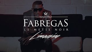 Fabregas Le Metis Noir présente Ibrator  Limousine [upl. by Enalahs]