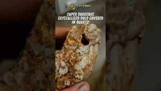 Super gorgeous crystallized gold covered in quartz shortsvideo shorts [upl. by Ecnarf]