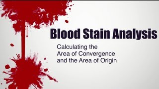 Blood Stain Analysis  Calculating the Area of Convergence and the Area of Origin [upl. by Alliuqaj888]