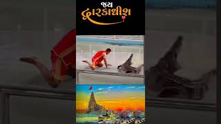 Jay dwarkadhish jaydwarkadhish shortsfeed trending motivation youtubeshorts viralvideo [upl. by Edora900]