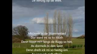 Ick wull wi weern noch kleenJehann  plattdeutsch german folksong [upl. by Goodson425]