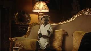 Compare the Meerkat  Advert 68 [upl. by Burnley]