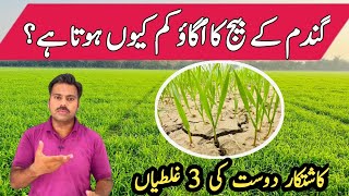 Factors affecting wheat seed germination  Germination issue in wheat sowing  Abid Ali Agrarian [upl. by Mell171]