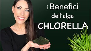 L alga Clorella o Chlorella è un Super Food👉🏻 Tutti i benefici che dovresti conoscere [upl. by Samalla338]