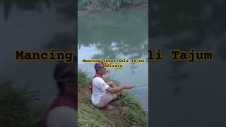 Mancing Tawes Dikali Tajum Adisara Jatilawang Banyumas [upl. by Corsetti]