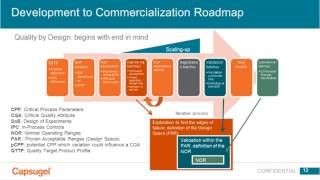 QbD Applications for LipidBased Pharmaceutical Products [upl. by Namara284]