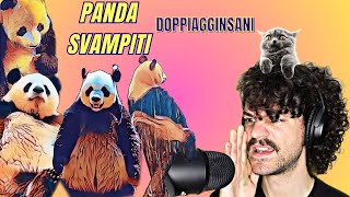 PANDA SVAMPITI  COMPILATION DOPPIAGGINSANI [upl. by Tram]