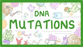 GCSE Biology  What are DNA Mutations 67 [upl. by Segroeg]