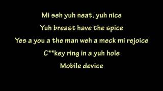 Spice Vybz Kartel  Conjugal Visit Lyrics [upl. by Aleemaj]