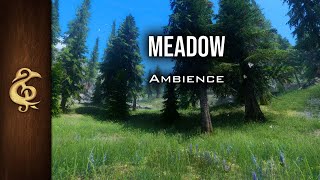 Meadow  Breeze Birds Lively Warm ASMR Ambience  3 Hours [upl. by Burkhard961]