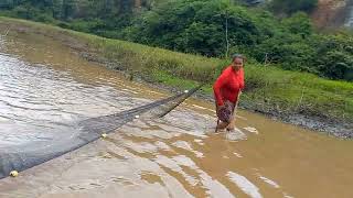 FUI PESCAR CAMARÃO E PEIXES COM REDINHA DE ARRASTO COMO ANTIGAMENTE [upl. by Icart]