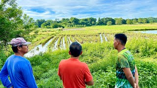 33 Years Abroad Bakit Farming ang Napiling Retirement sa Pinas [upl. by Priestley]