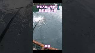 【海上釣堀】新しいタモに慣れずタモ入れ失敗！ 脈釣王玉ノ柄 [upl. by Hsizan101]