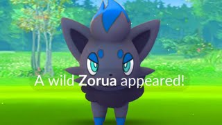 😮No oh Direct wild Zorua in pokemon go [upl. by Odey]