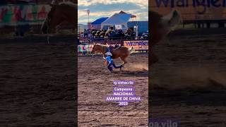 Campeona 2023🔥rodeo viralfypシshortsvideo cowgirls goattyingbarrelracing mexicogirlhorse [upl. by Stockton]